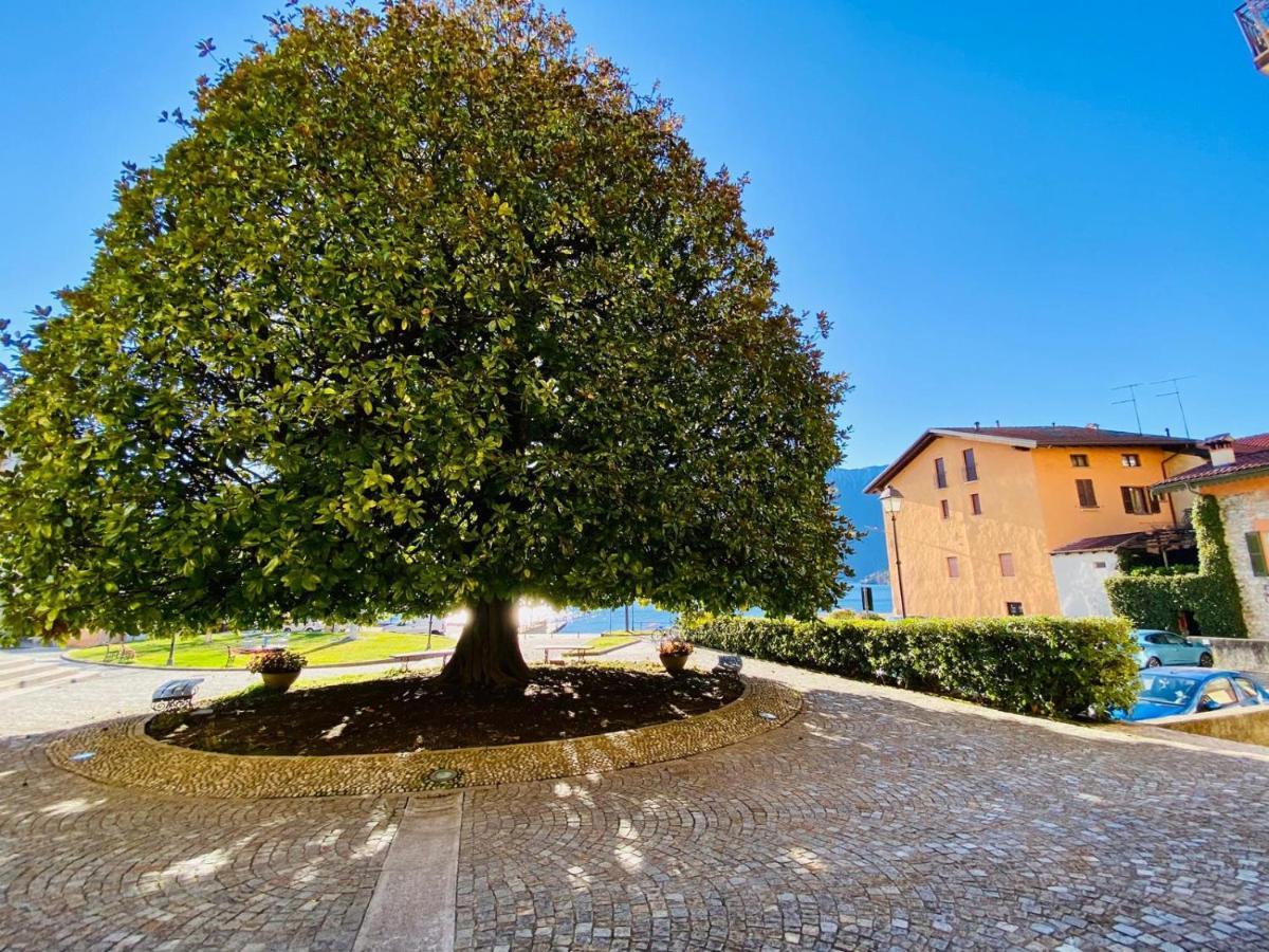Angelo Loft Vila Tremezzo Exterior foto